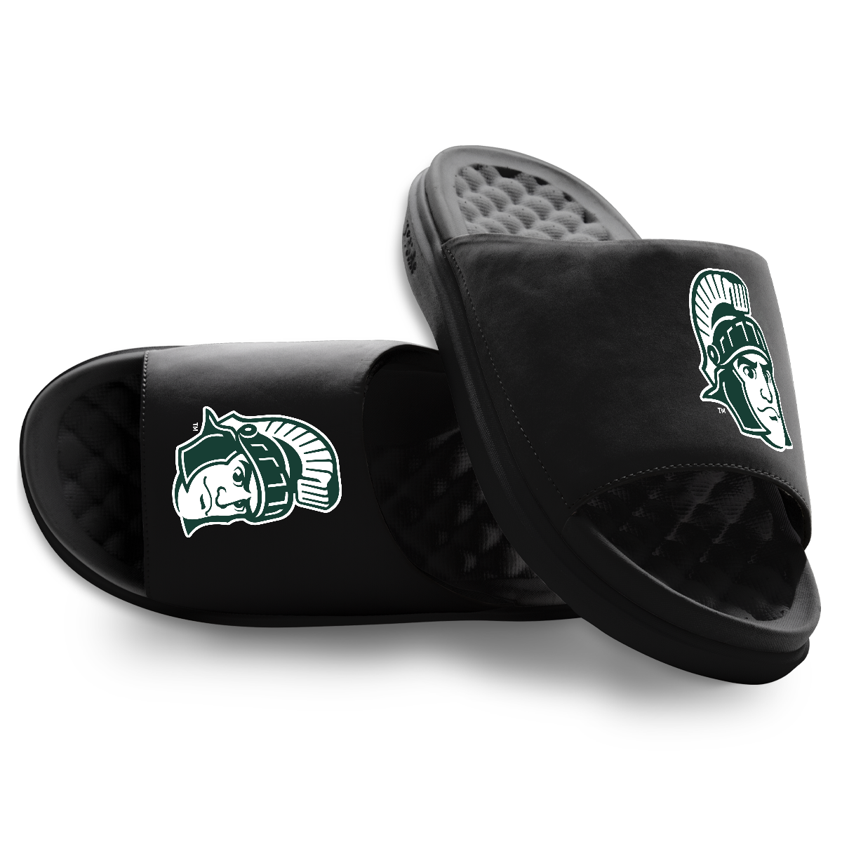 Michigan State Spartans Mascot Motive