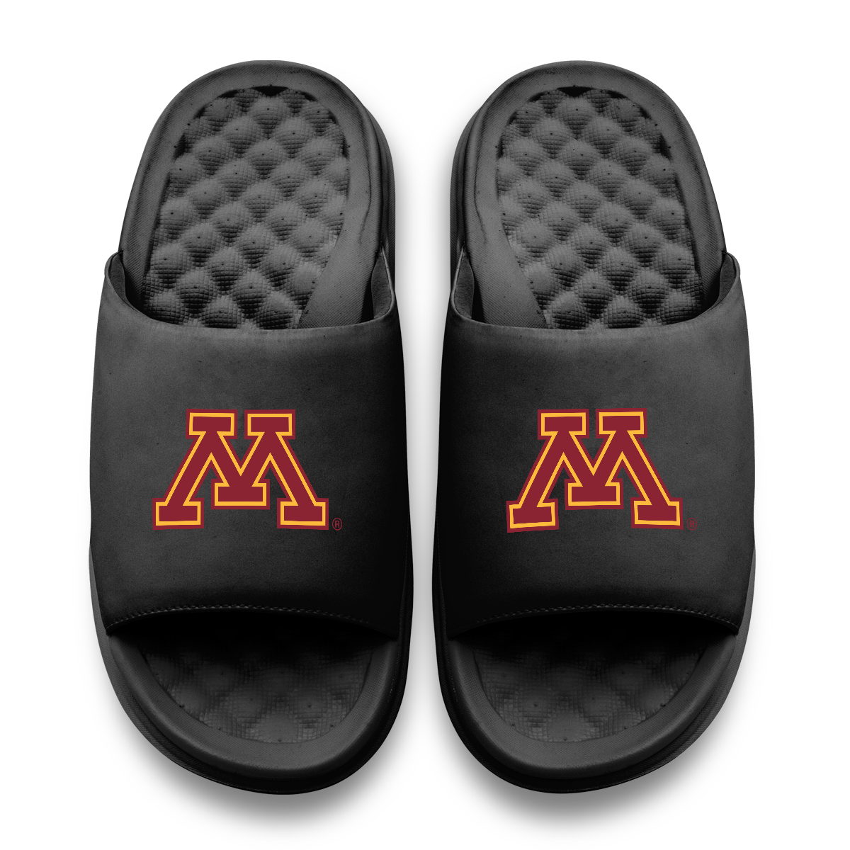 Minnesota Golden Gophers Primary Motive