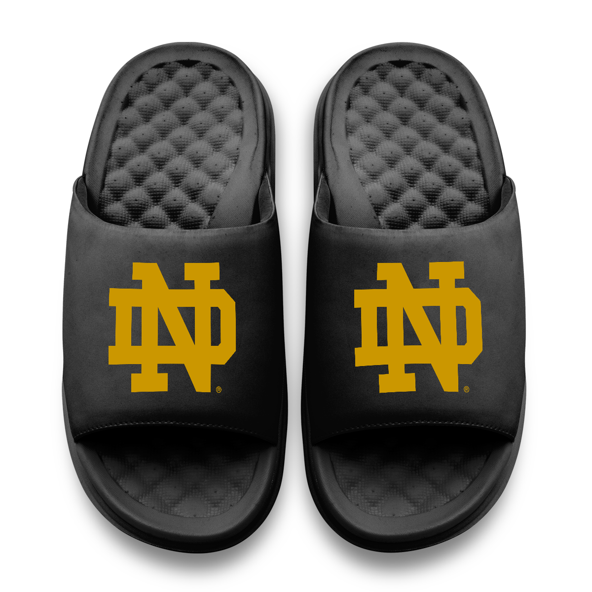 Notre Dame Fighting Irish Primary Motive