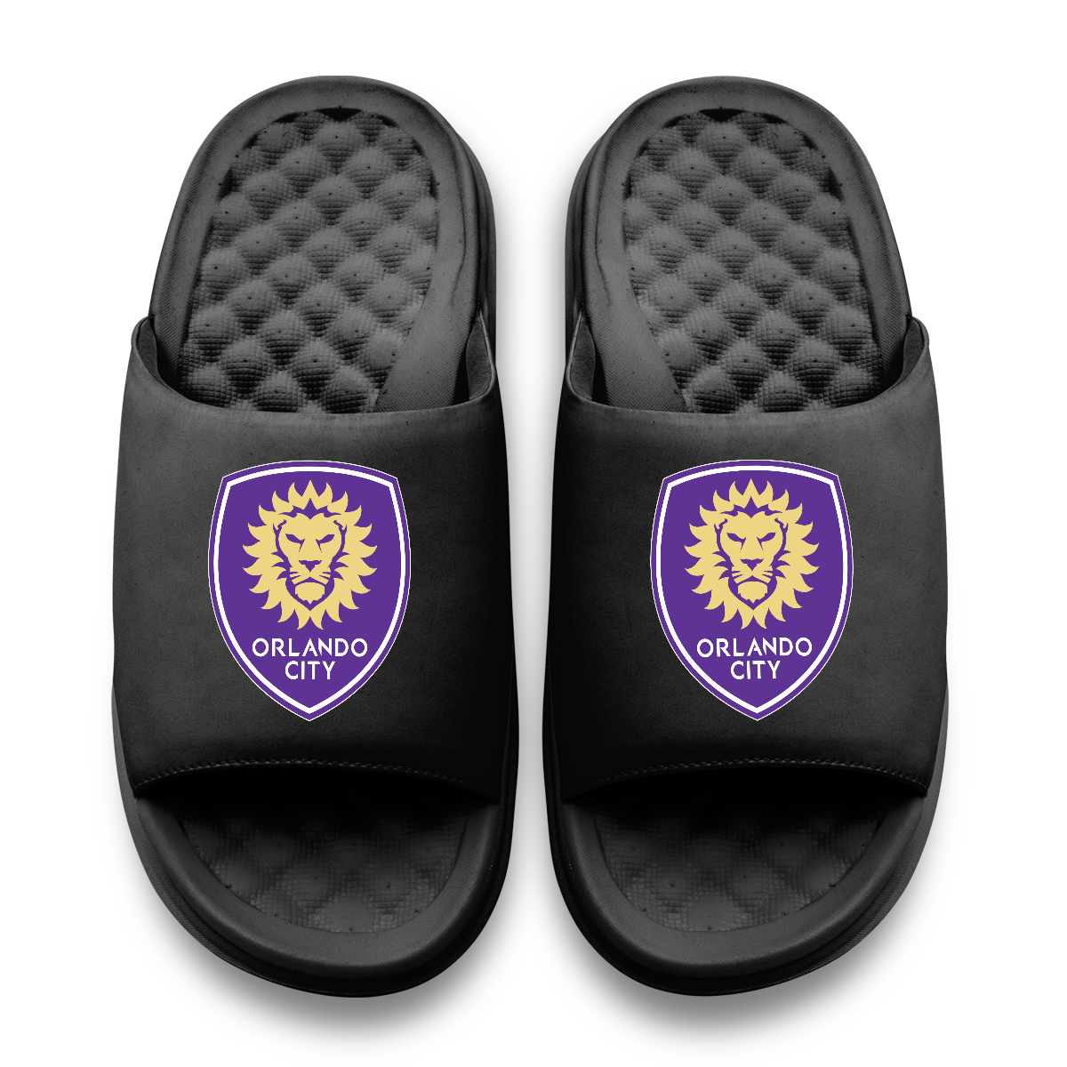 Orlando City SC Primary Logo Motive