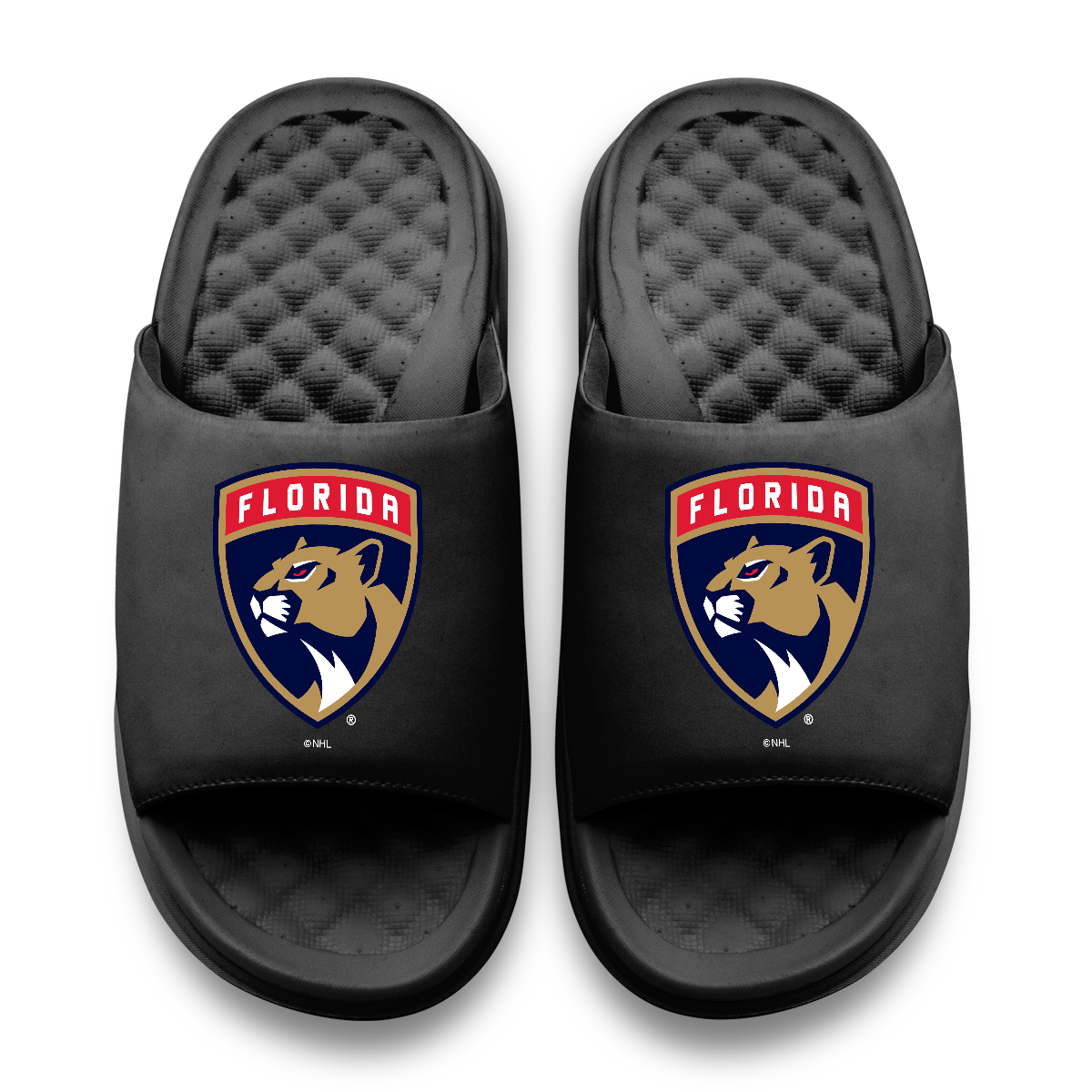 Florida Panthers Primary Motive