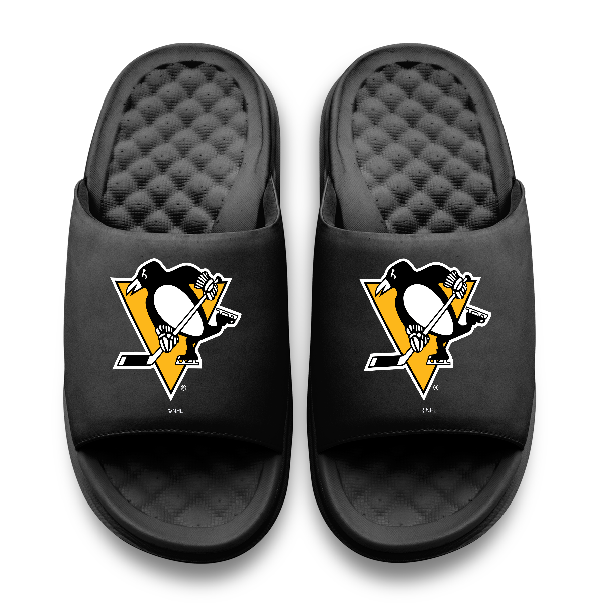 Pittsburgh Penguins Primary Motive