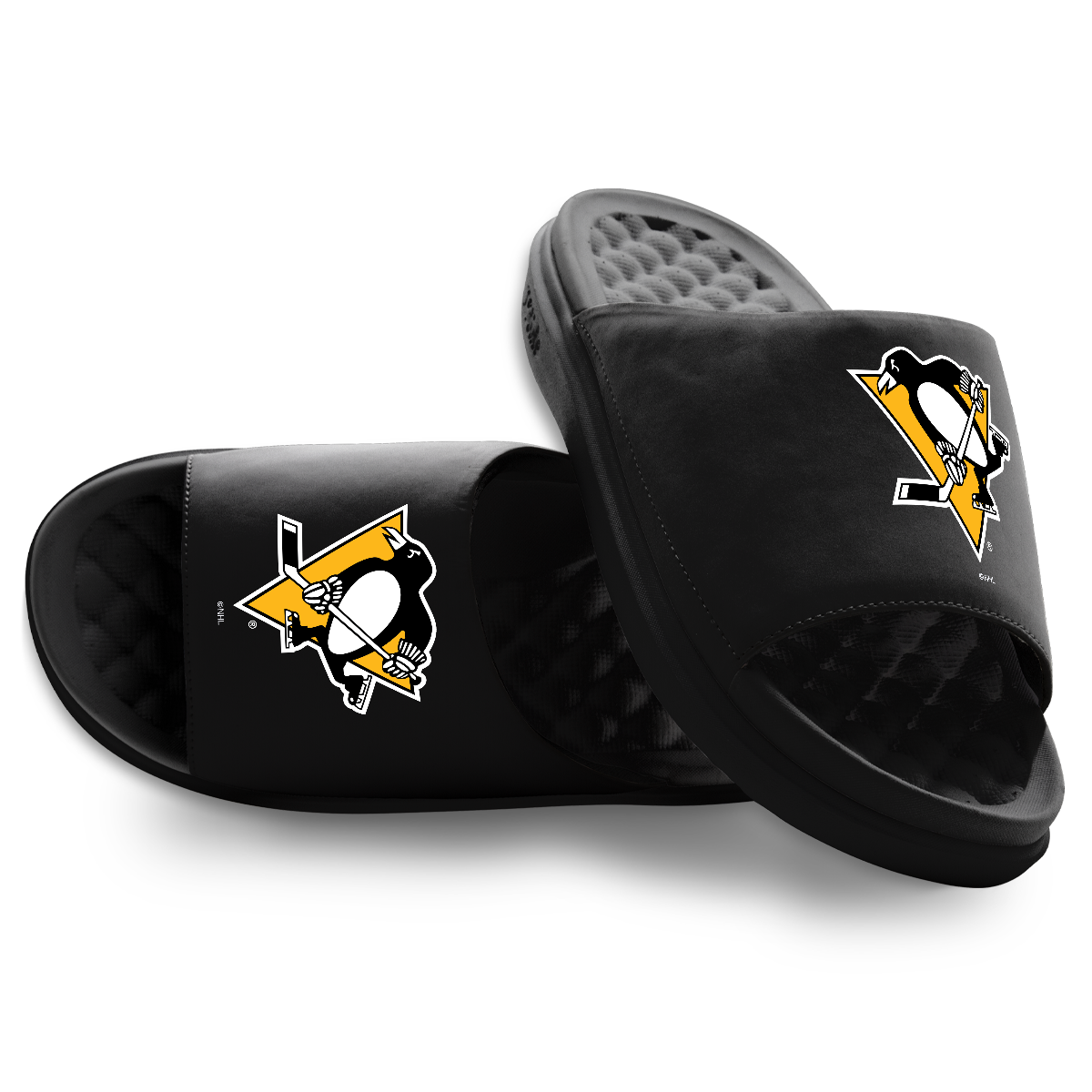 Pittsburgh Penguins Primary Motive