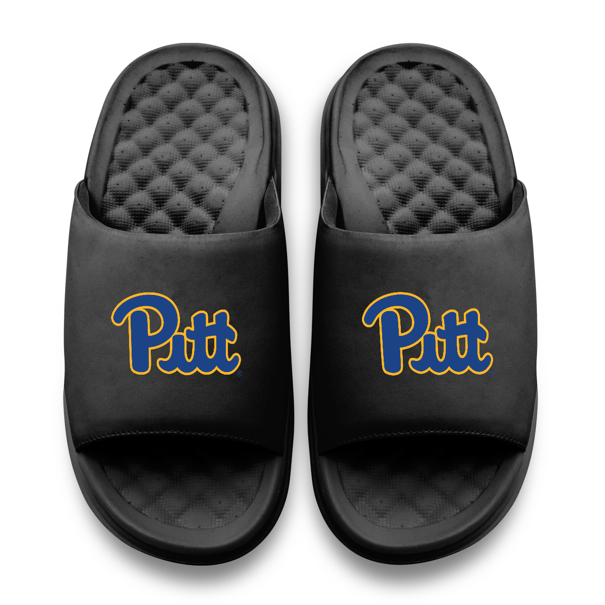 Pitt Panthers Primary Motive