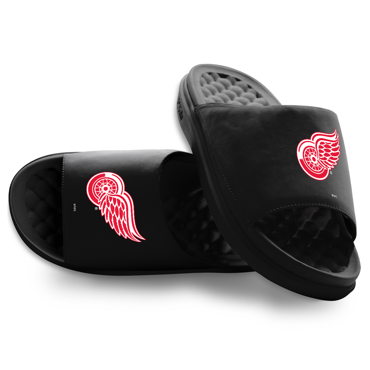 Detroit Red Wings Primary Motive