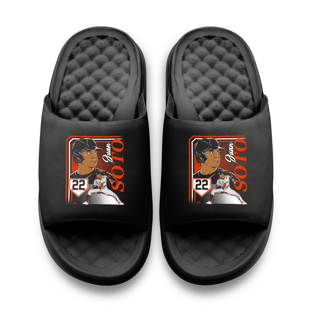 New York Mets Juan Soto Portrait