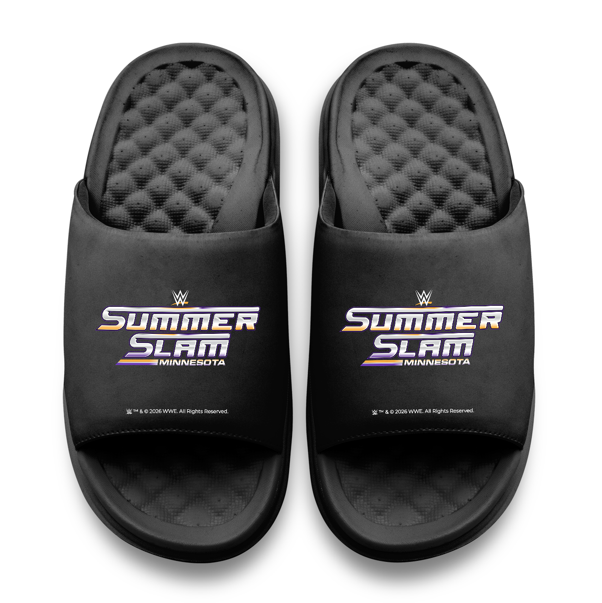 WWE 2026 SummerSlam Motive