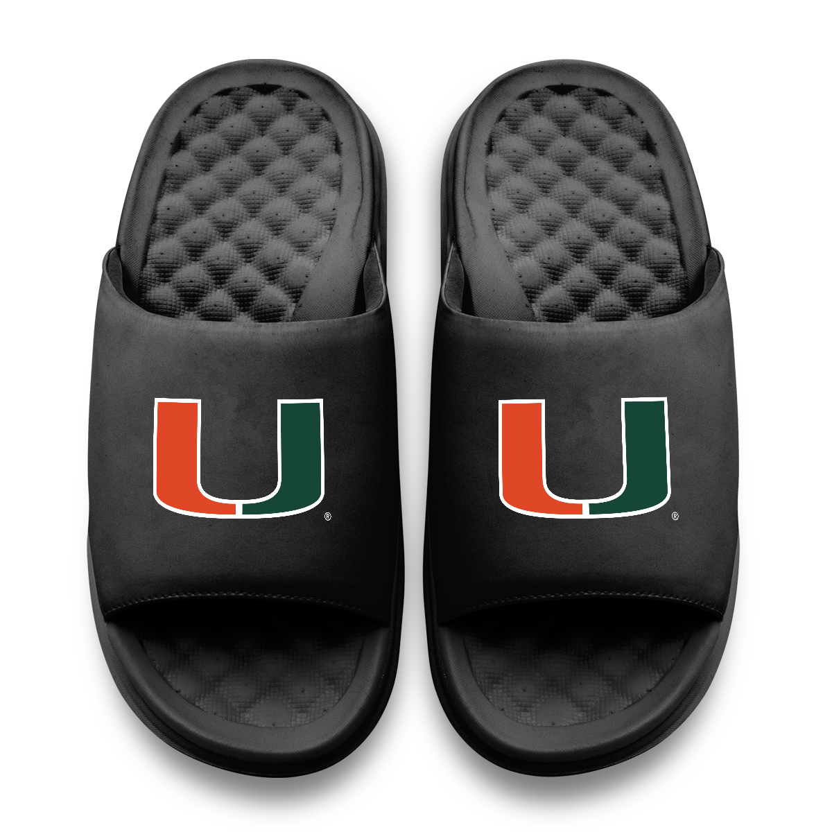 Miami Hurricanes Primary Motive