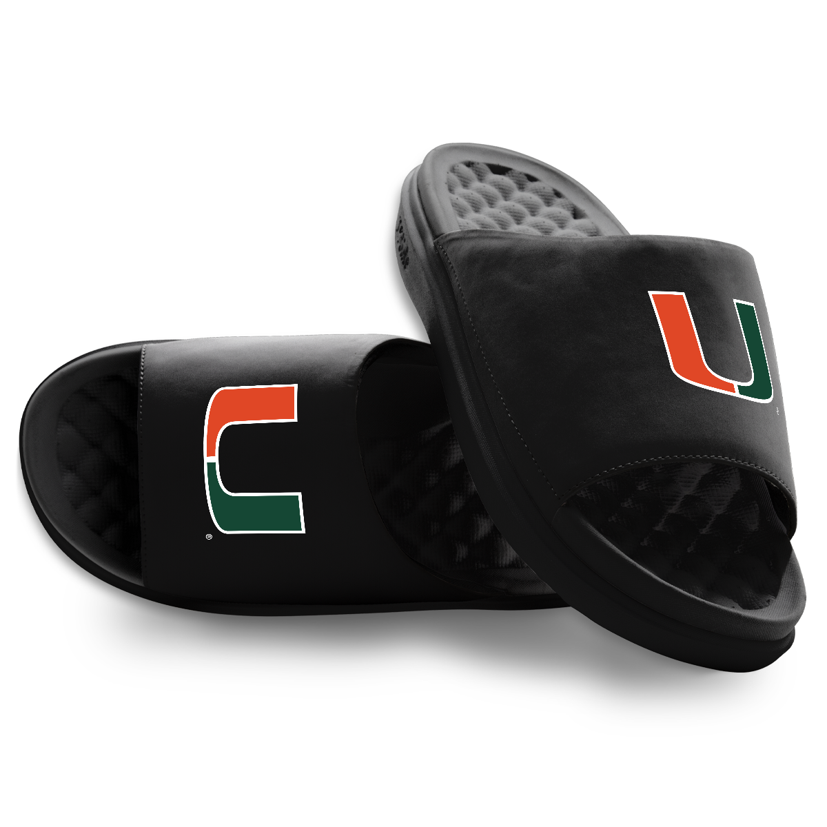 Miami Hurricanes Primary Motive