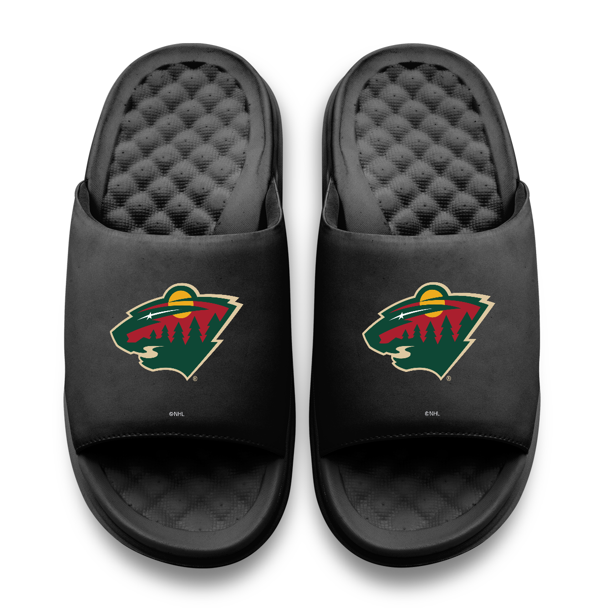 Minnesota Wild Primary Motive