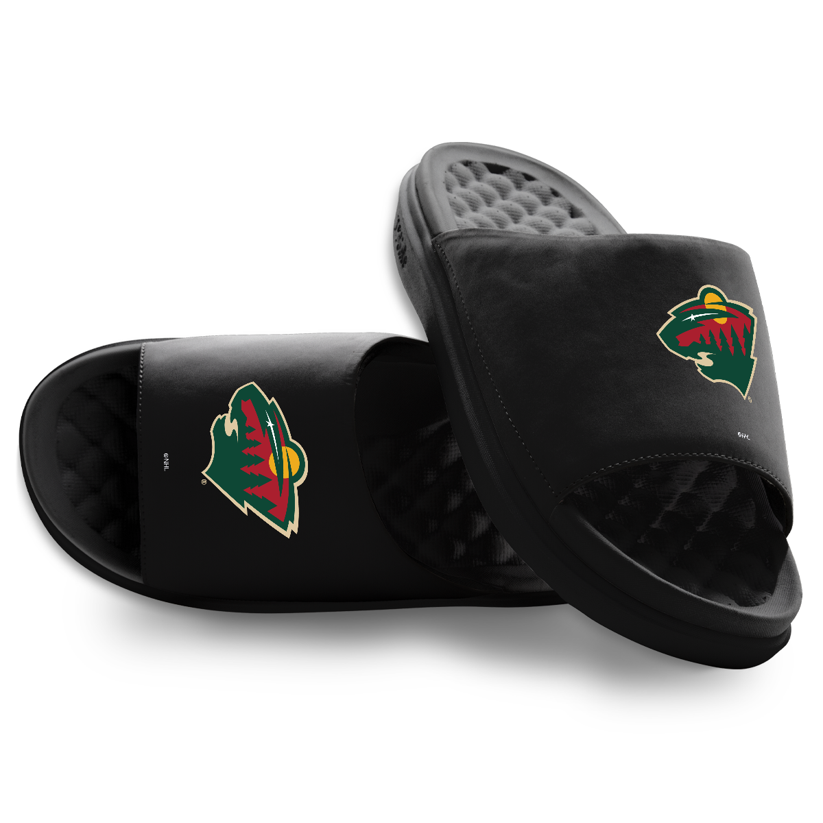 Minnesota Wild Primary Motive