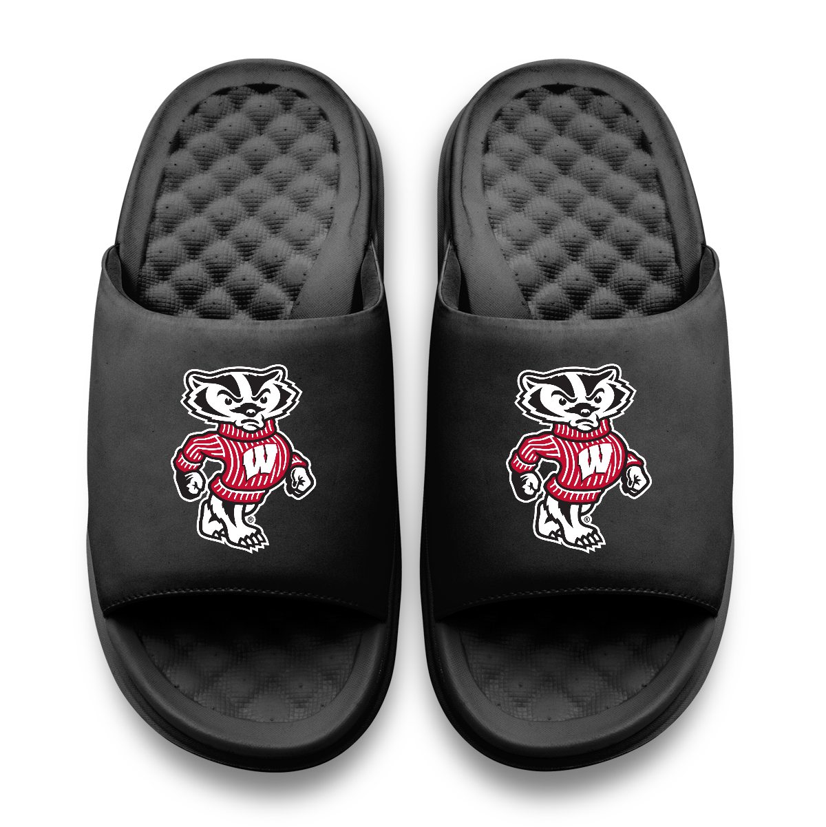 Wisconsin Badgers Mascot Motive