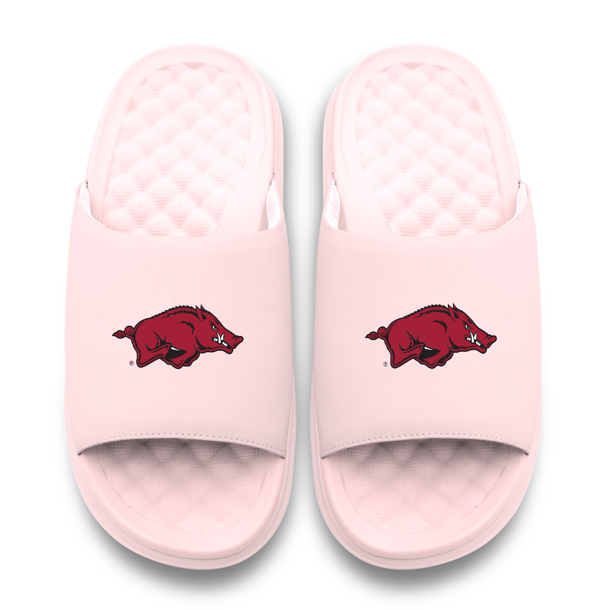 Arkansas Razorbacks Primary Motive