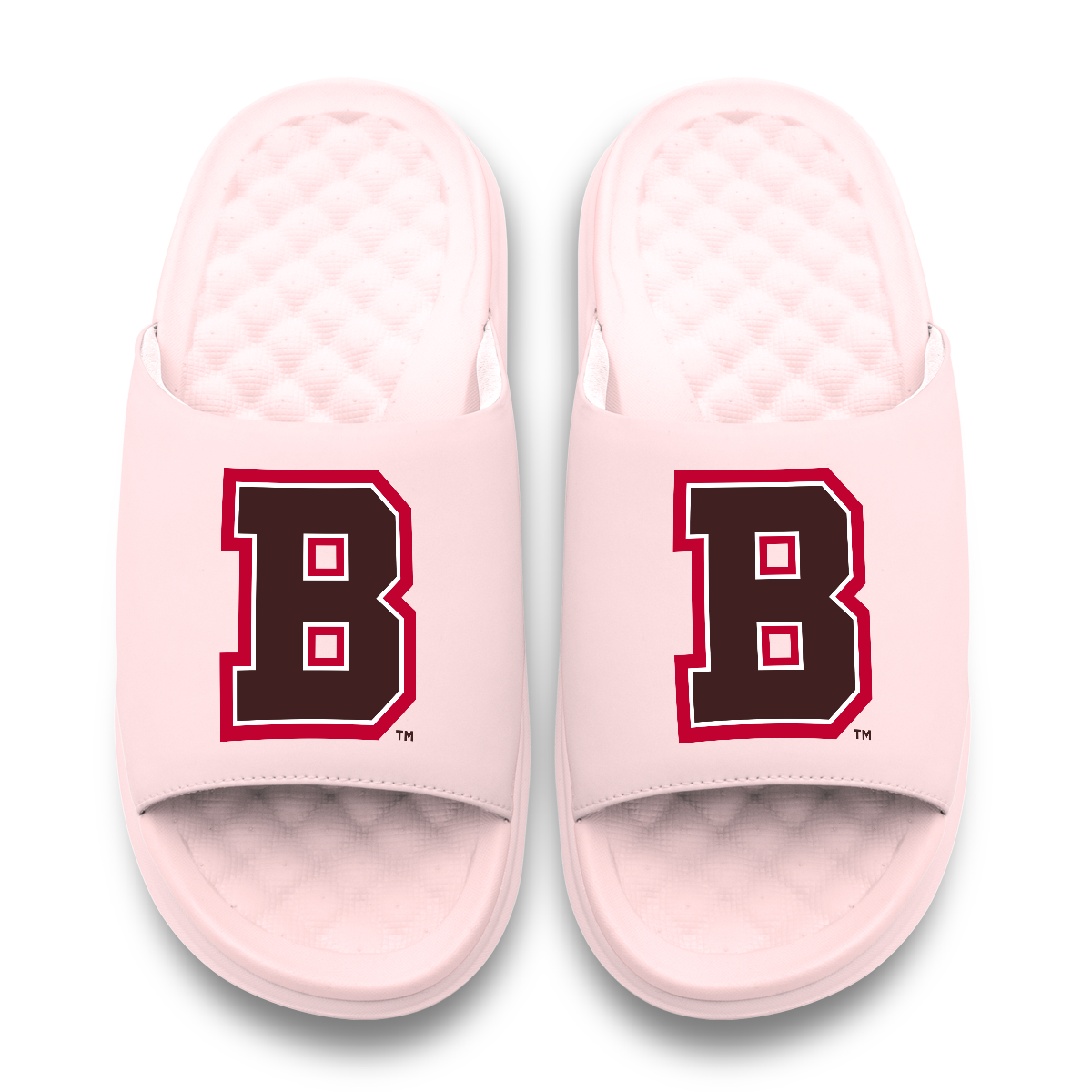 Brown Bears Primary Motive