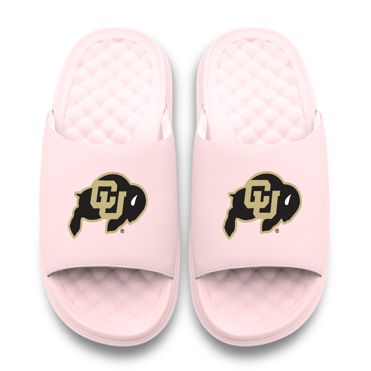 Colorado Buffaloes Primary Motive