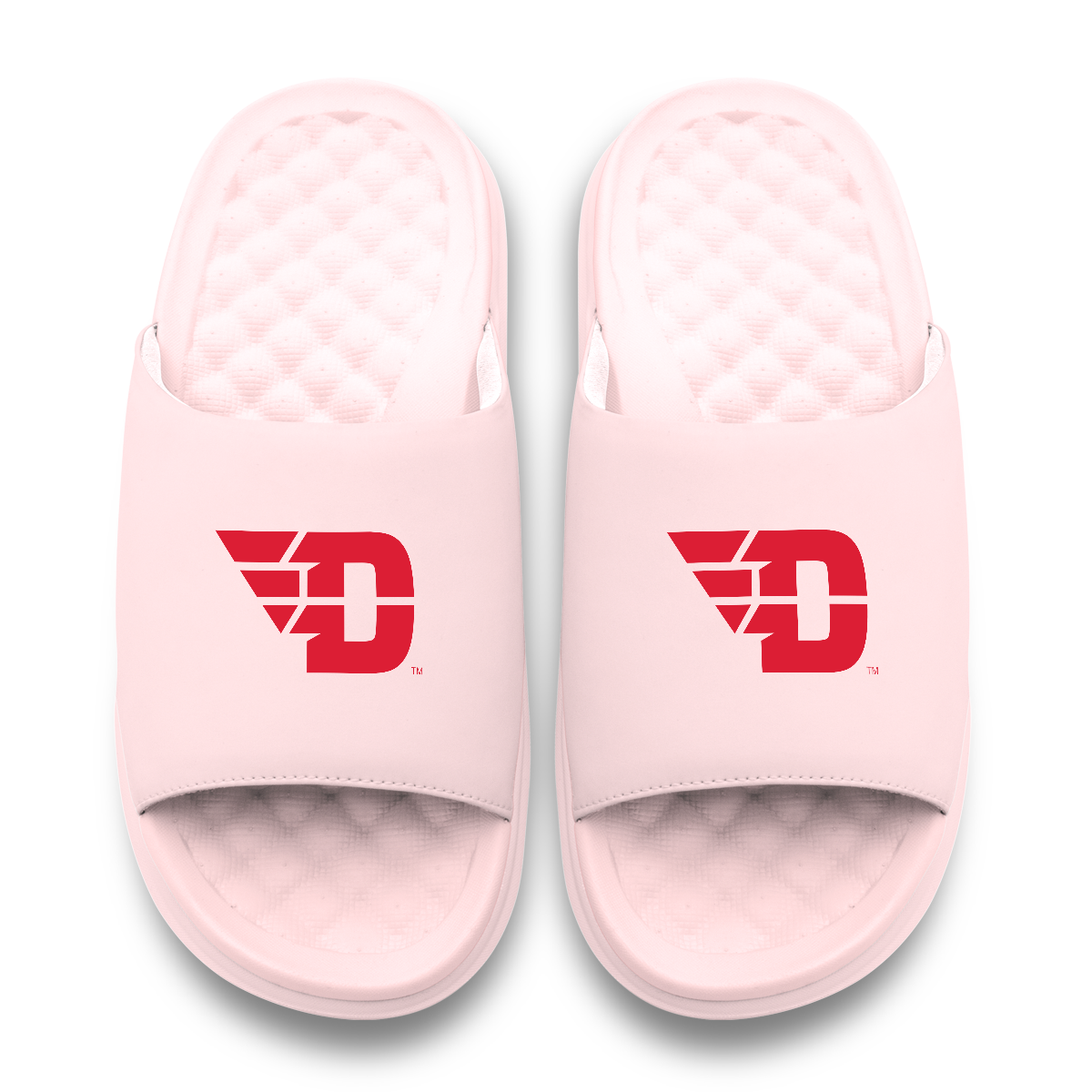 Dayton Flyers Primary Motive