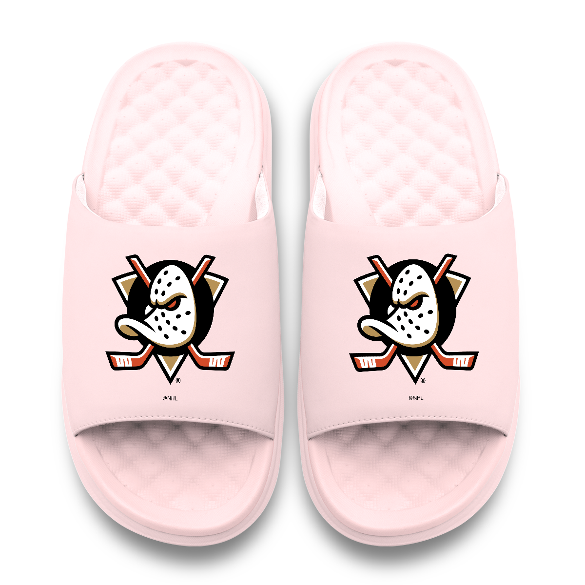 Anaheim Ducks Primary Motive