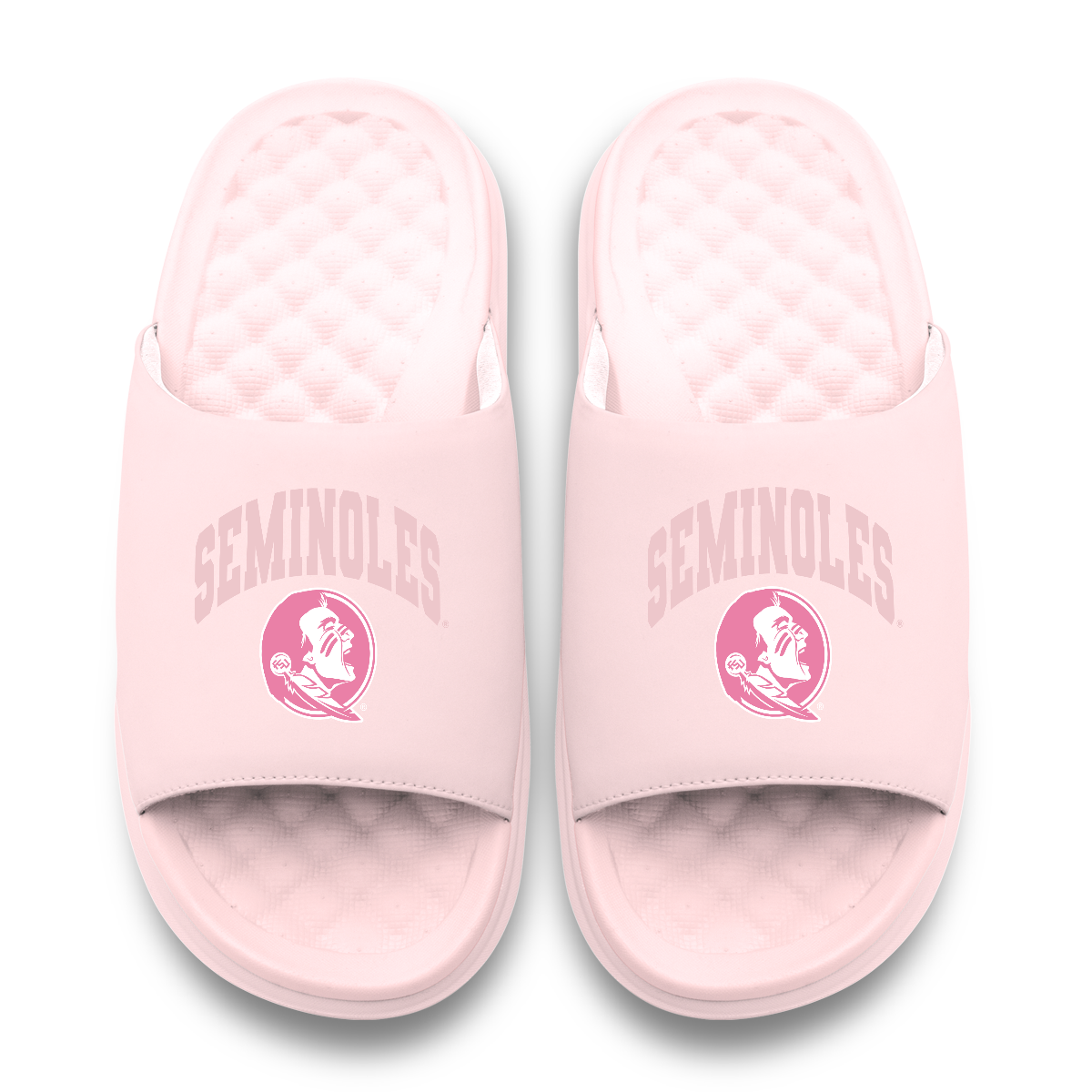 Florida State Seminoles Tonal Pop Motive