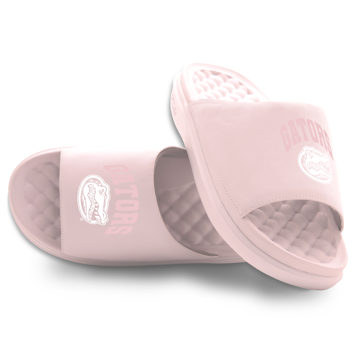 Florida Gators Tonal Pop Motive