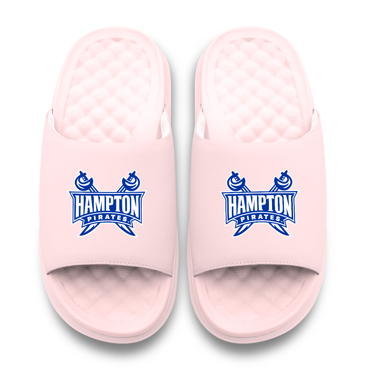 Hampton Pirates Primary Motive