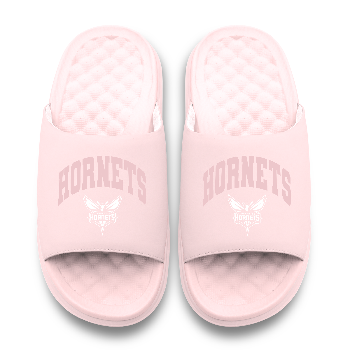 Charlotte Hornets Tonal Pop Motive
