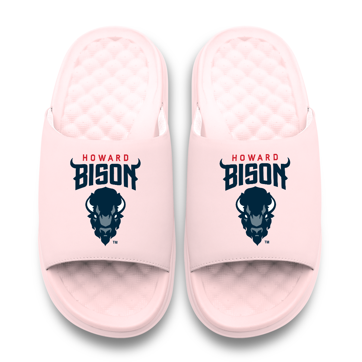 Howard Bison Primary Motive