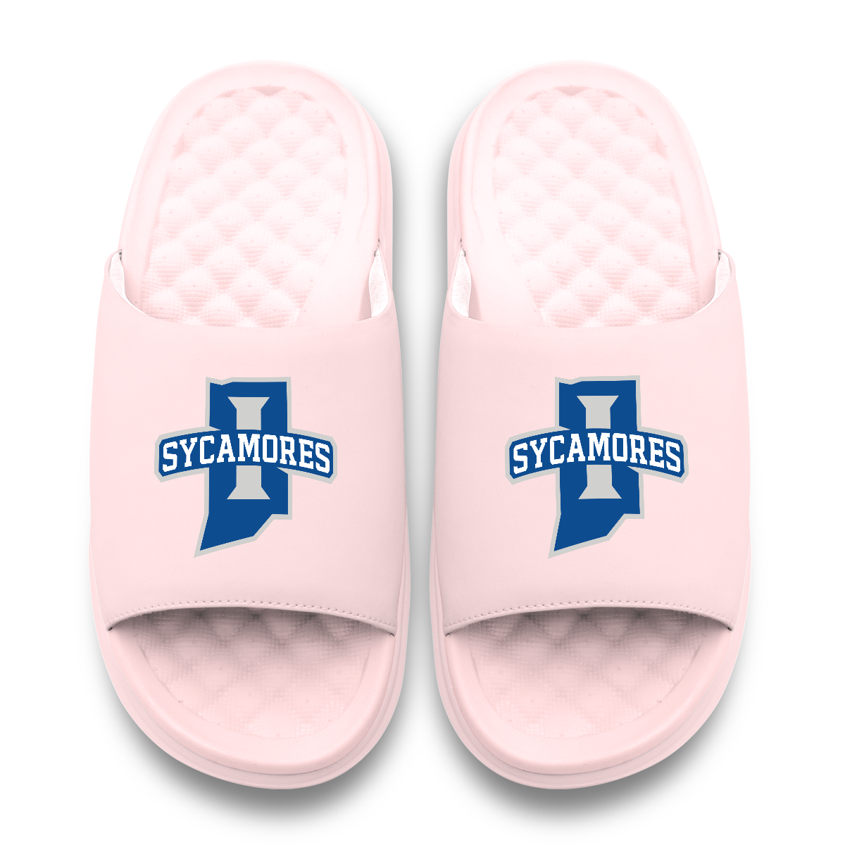 Indiana State Sycamores Primary Motive