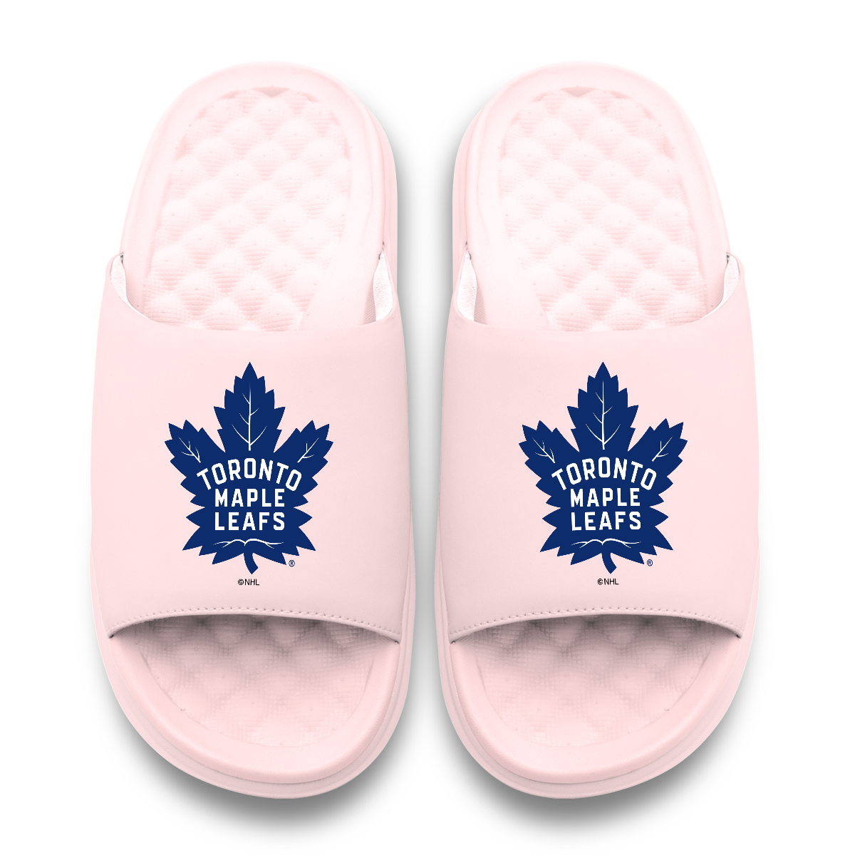 Toronto Maple Leafs Primary Motive