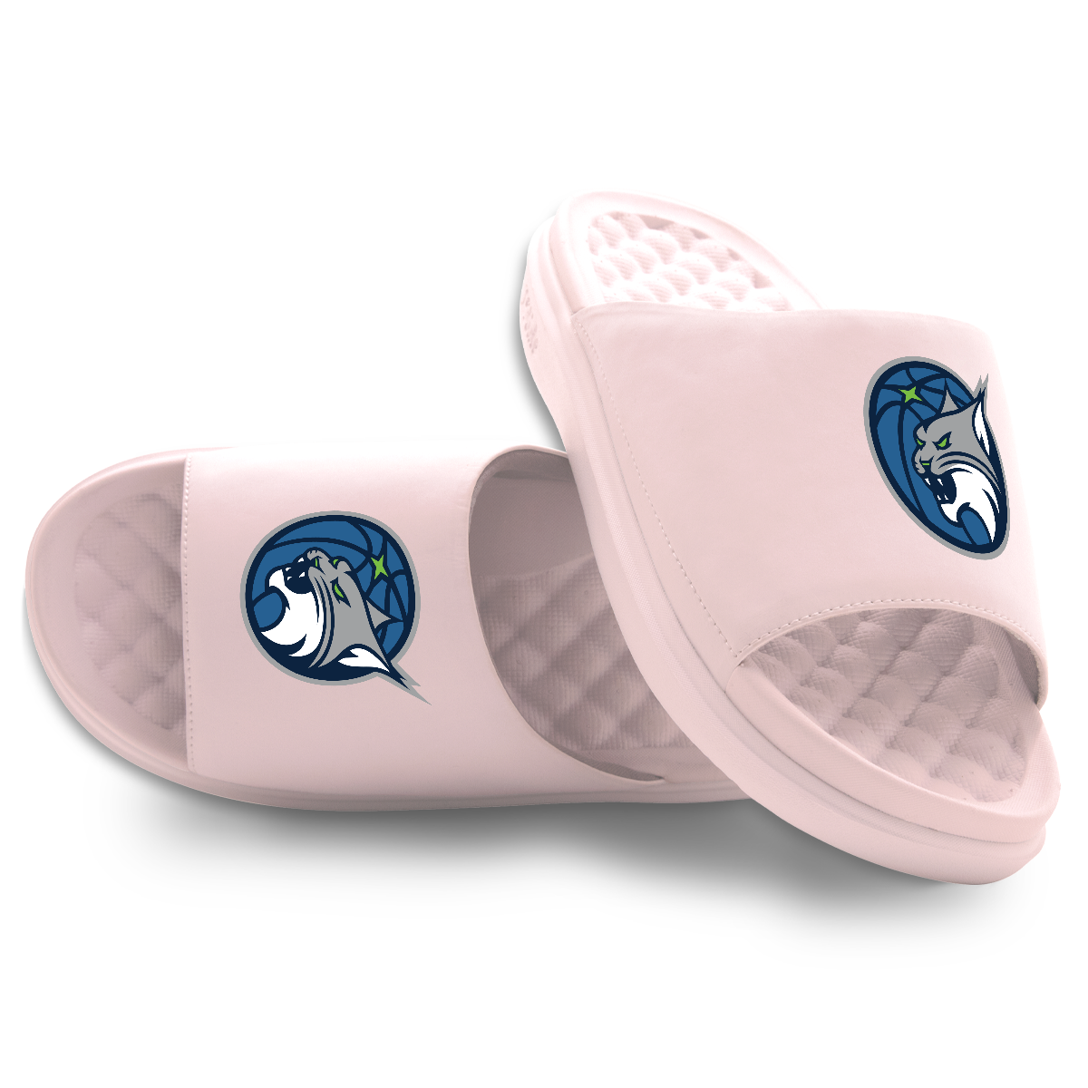 Minnesota Lynx Primary Motive