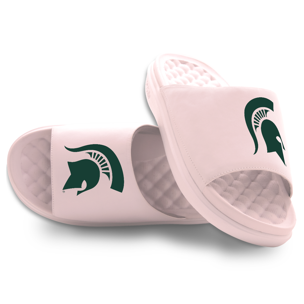 Michigan State Spartans Primary Motive