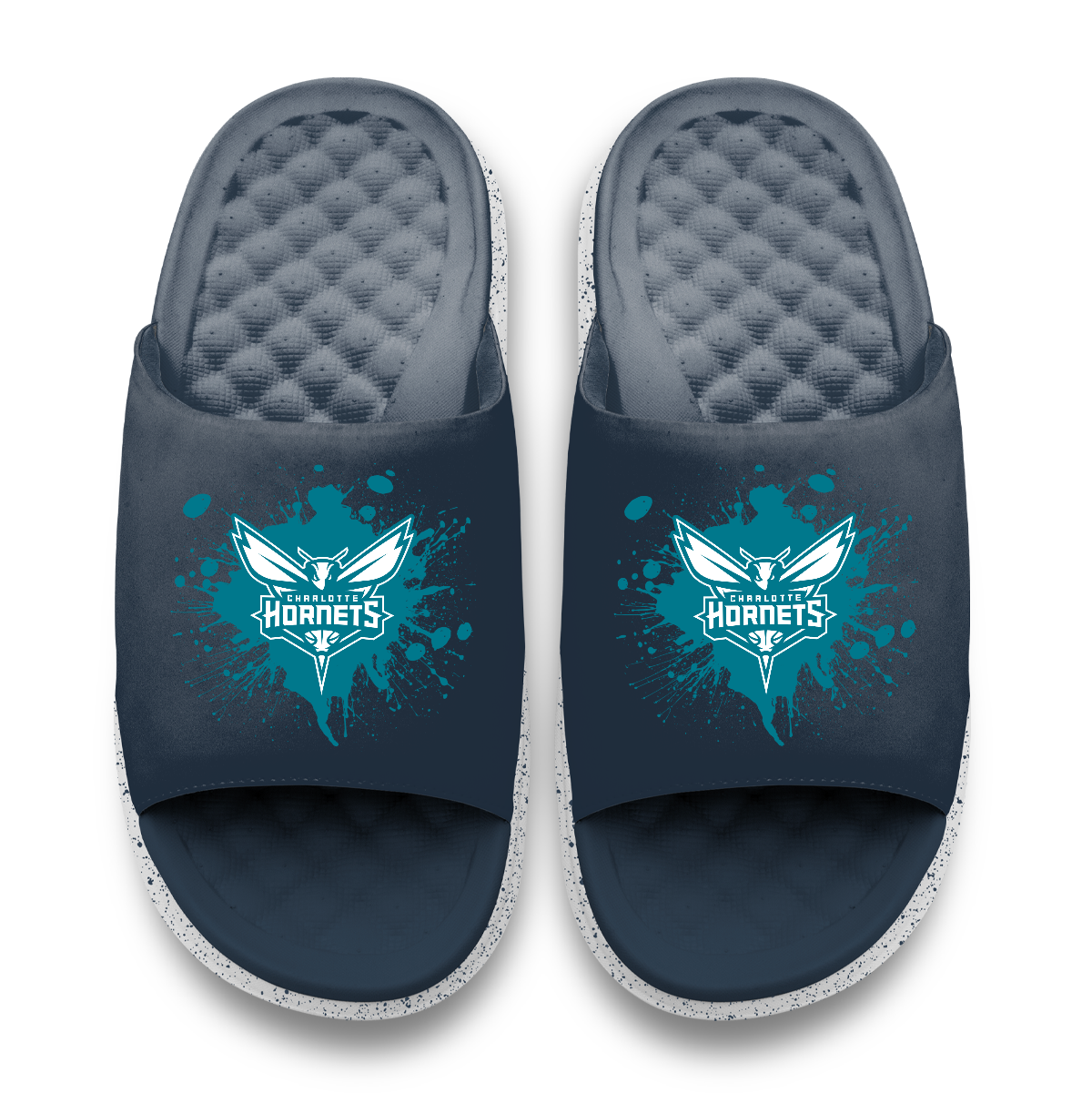 Charlotte Hornets Centered Logo Splat Motive