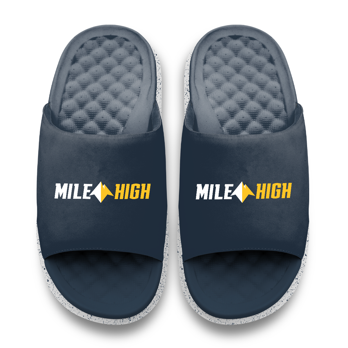 Denver Nuggets 2026 Playoff Motive
