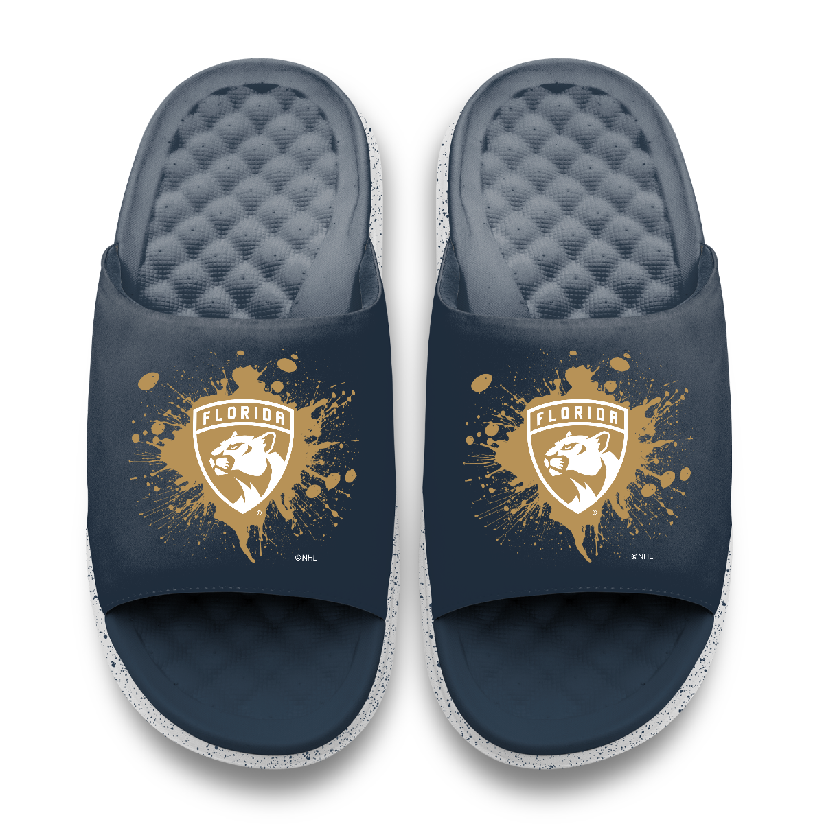 Florida Panthers Centered Logo Splat Motive