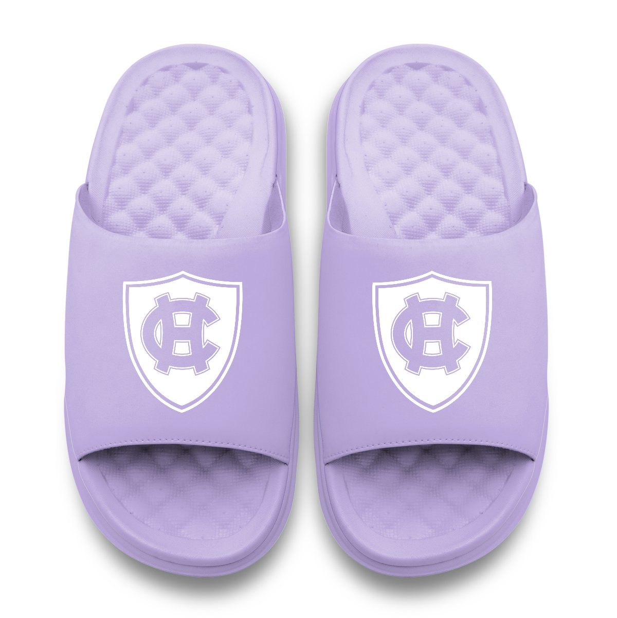 Holy Cross Crusaders Primary Logo