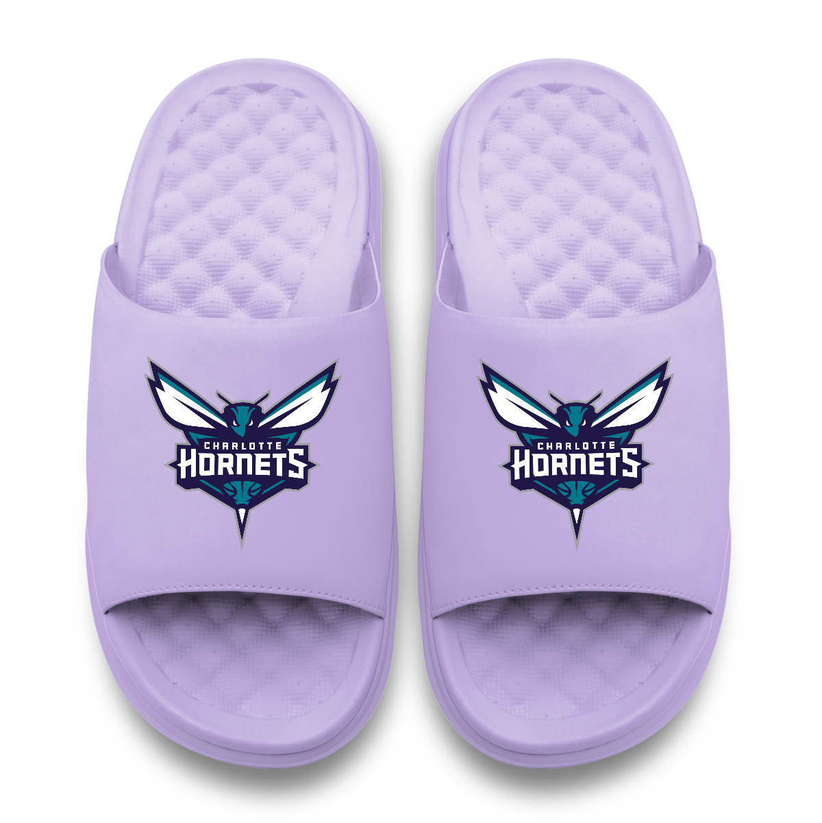 Charlotte Hornets Primary Logo