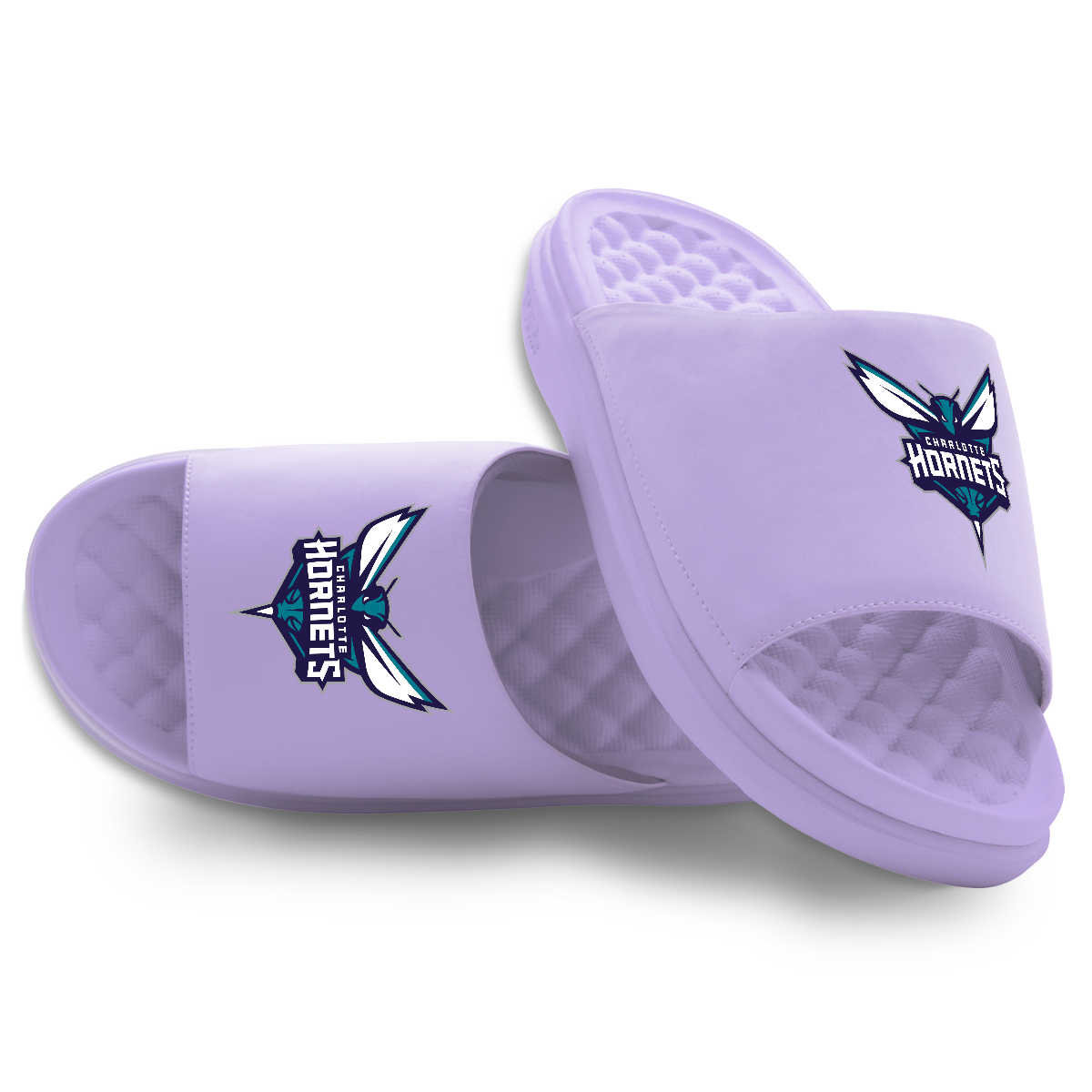 Charlotte Hornets Primary Logo