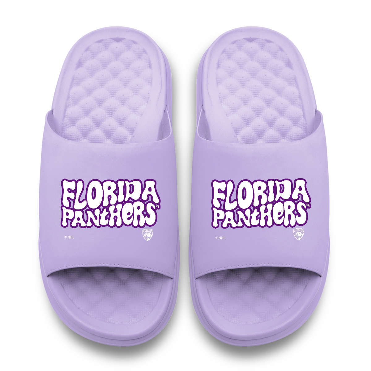 Florida Panthers Bubble Letters