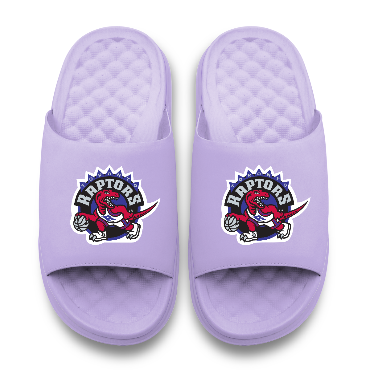 Toronto Raptors Throwback Logo