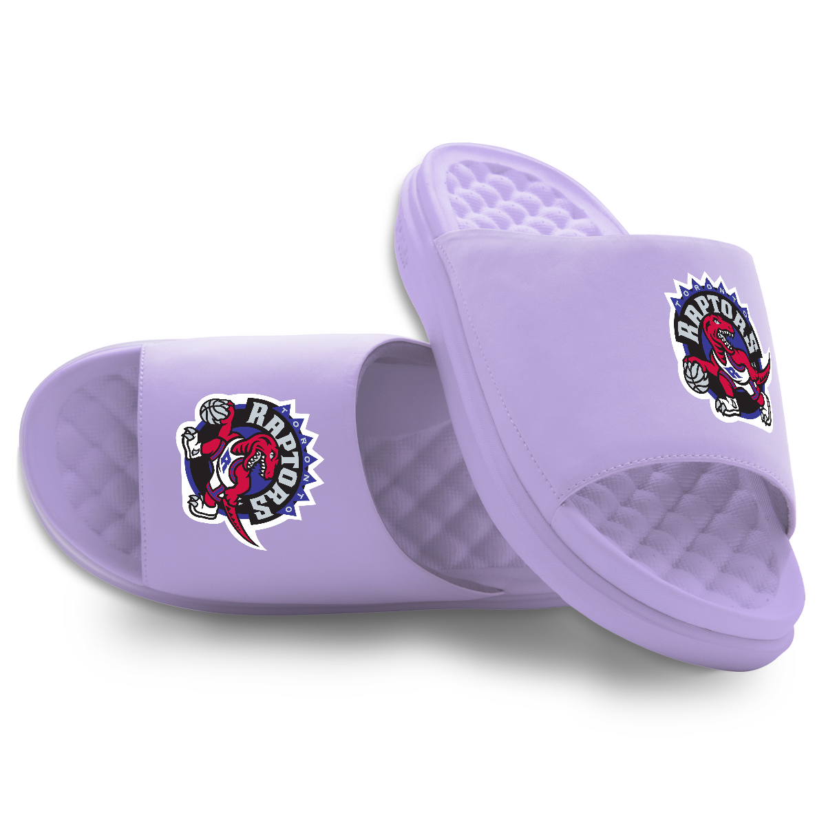 Toronto Raptors Throwback Logo