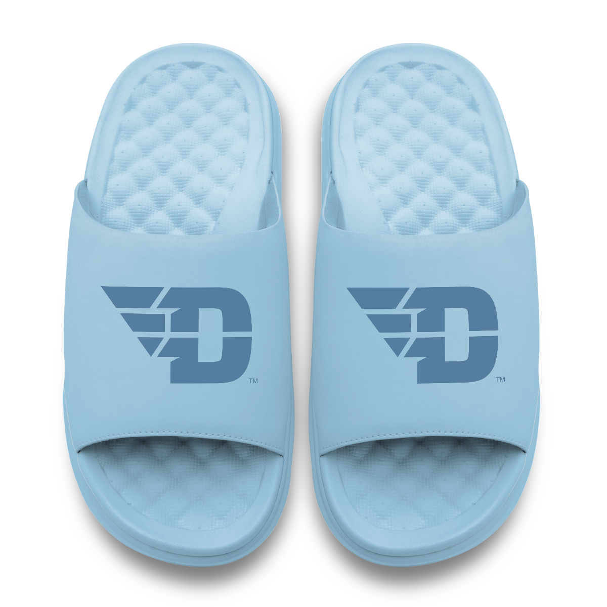 Dayton Flyers Tonal Logo
