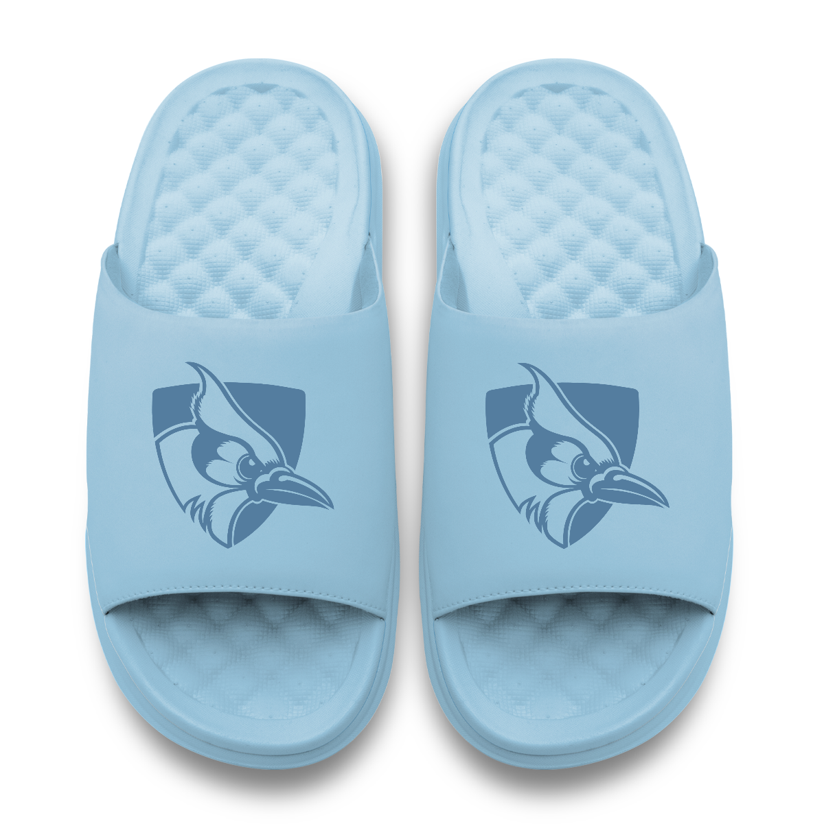 Johns Hopkins Blue Jays Tonal Logo