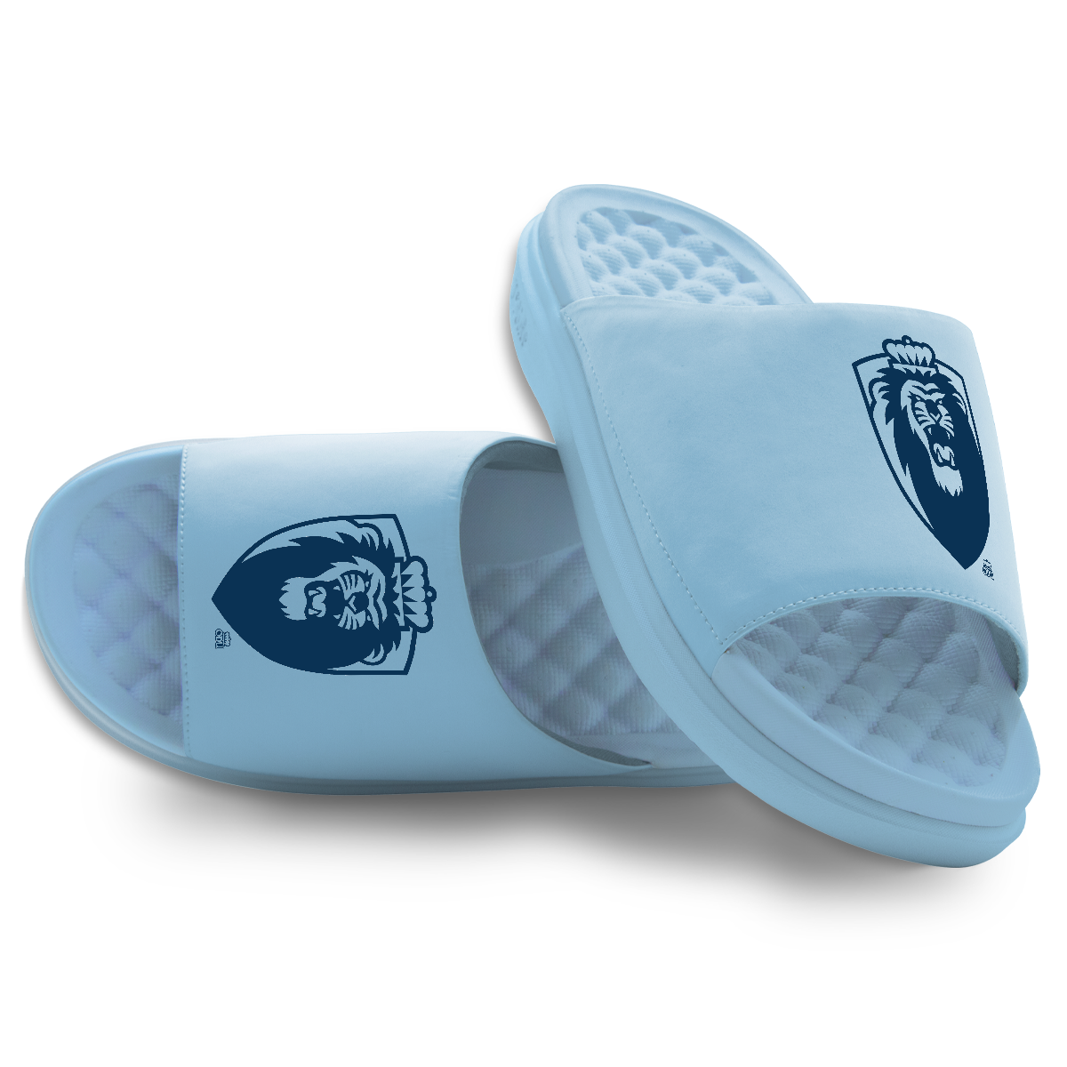 Old Dominion Secondary Logo