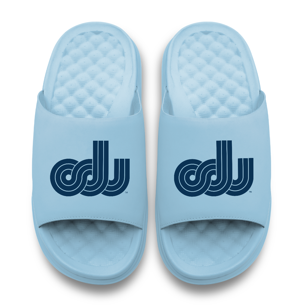 Old Dominion Vintage Logo