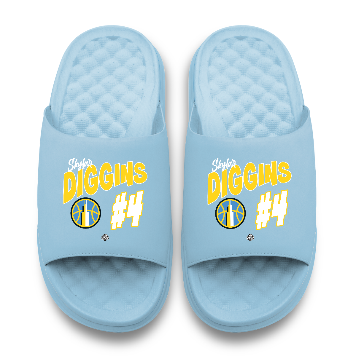 Chicago Sky Skylar Diggins Team Collage