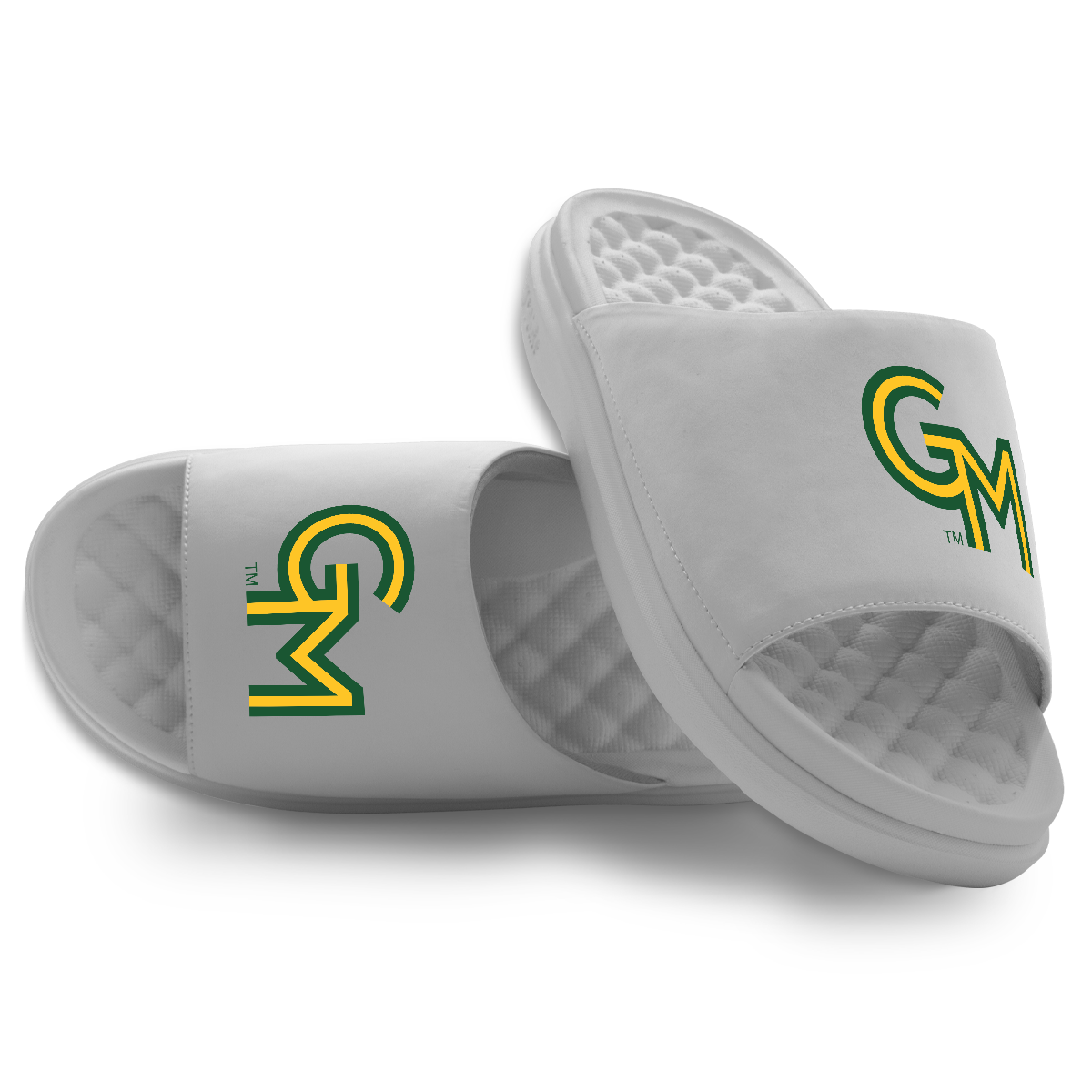 George Mason University Alternate Logo Motive