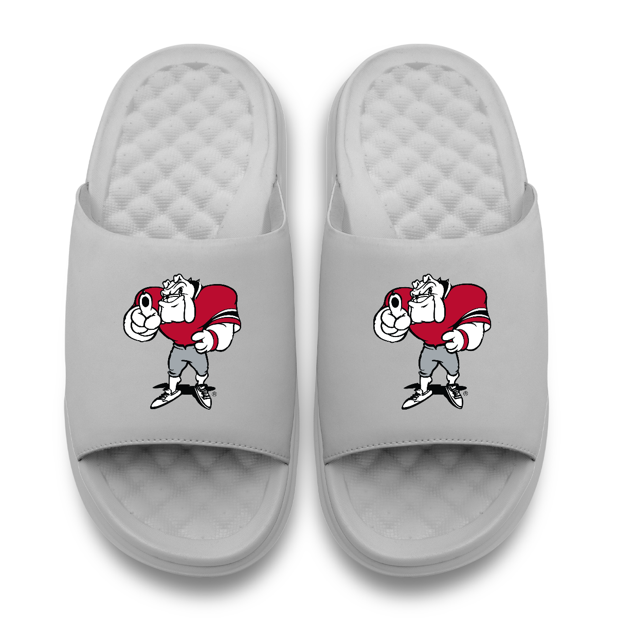 Georgia Bulldogs Mascot Motive