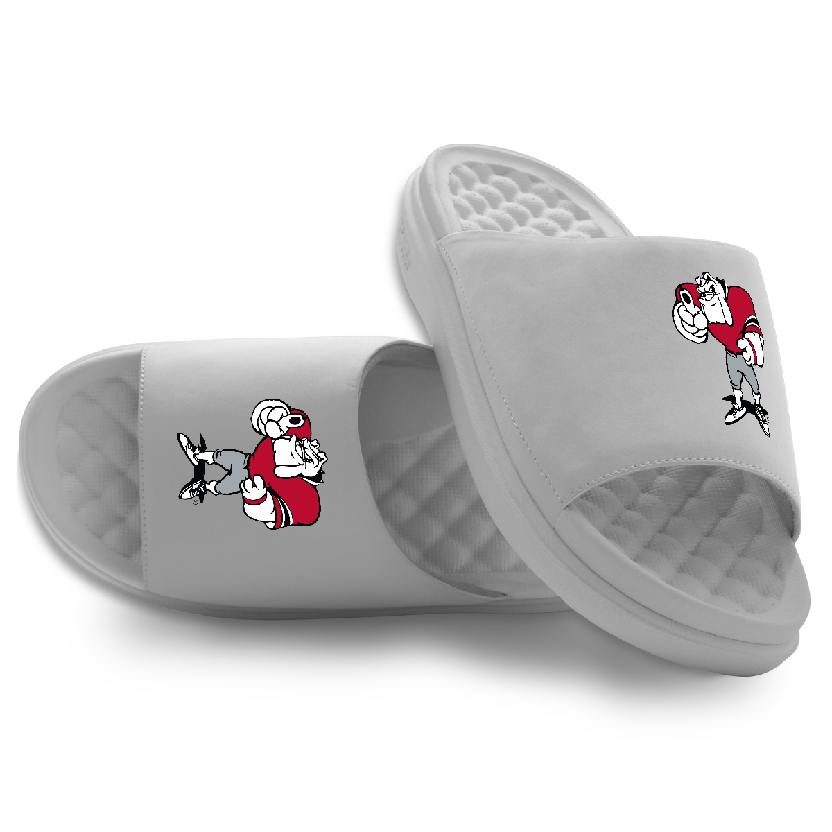 Georgia Bulldogs Mascot Motive