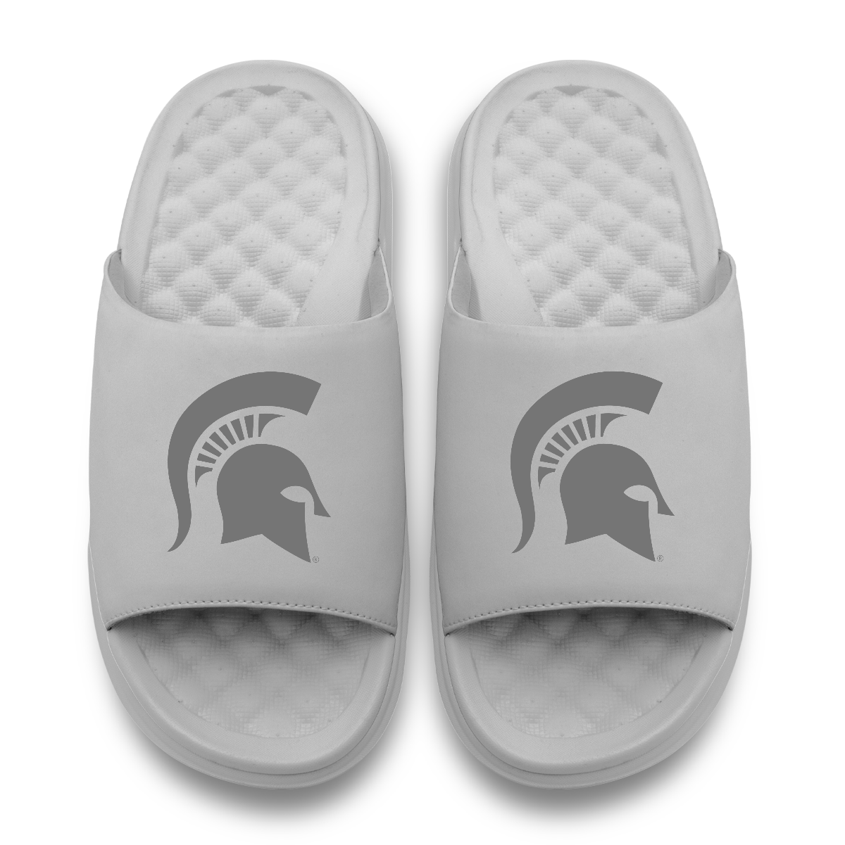 Michigan State Spartans Tonal Logo