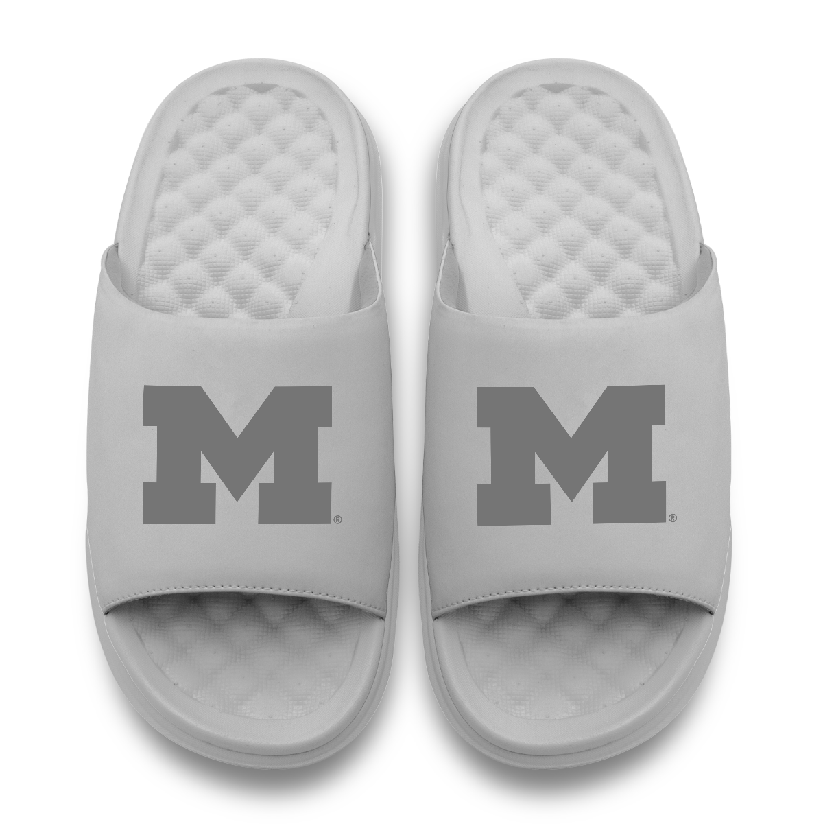 Michigan Wolverines Tonal Logo