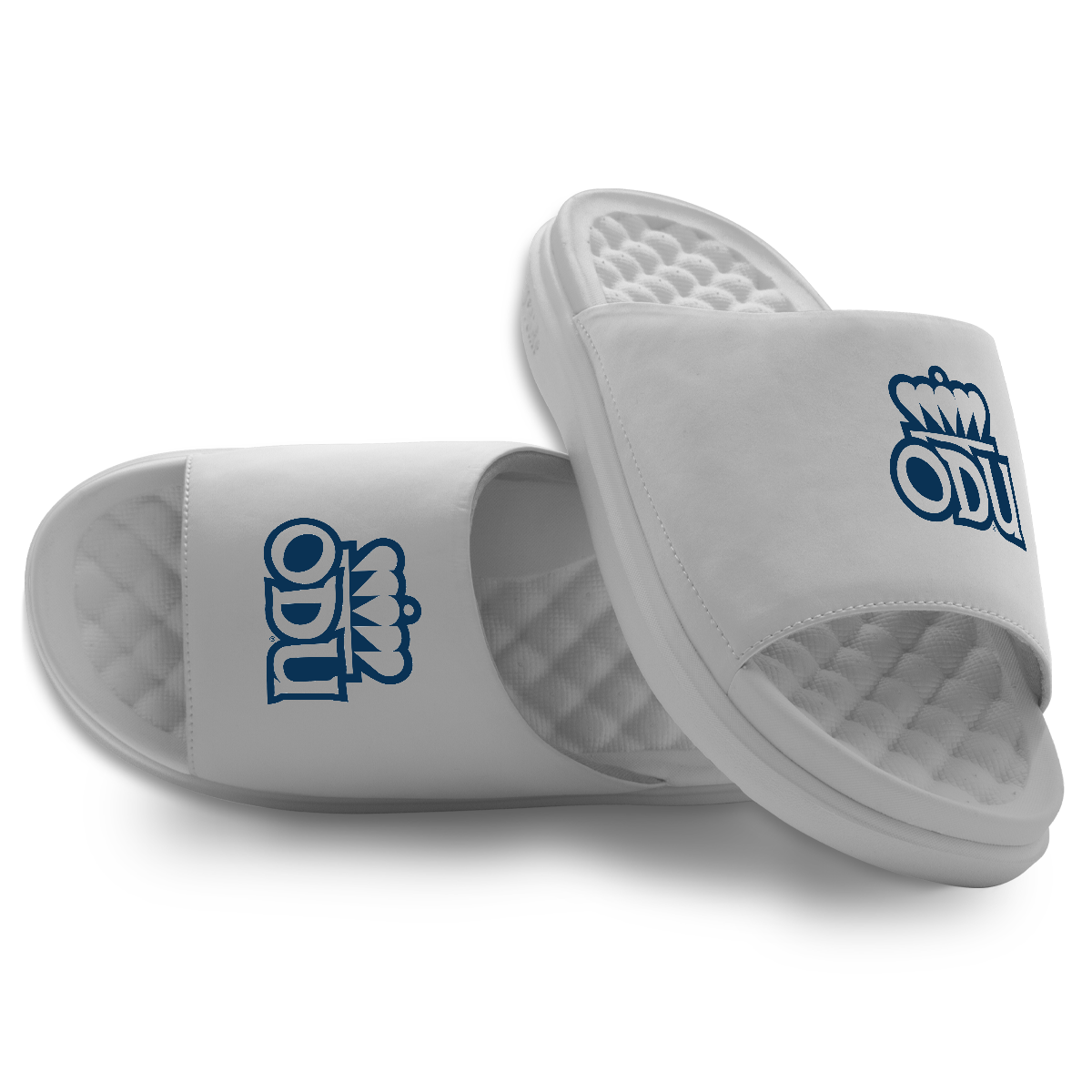 Old Dominion Primary Logo Motive